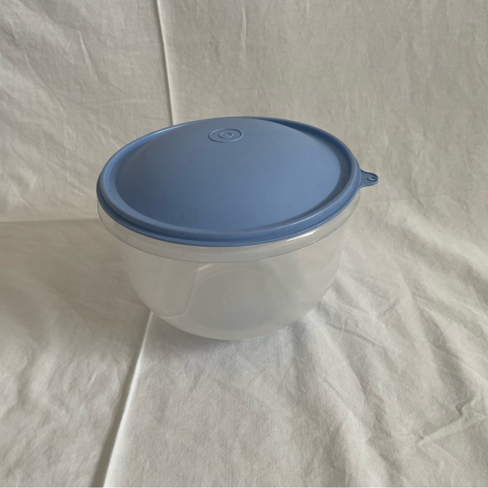 EUC Tupperware Lettuce Keeper